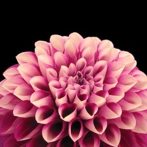 Meet your Posher, Aria